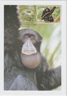 Nations Unies Vienne Carte Maximum 2002 Siamang 370 - Tarjetas – Máxima