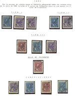 ECUADOR: Sc.31/38, Provisionals Of 1893, Album Page With Mint Sets And Several Used Examples, VF General Quality! - Ecuador