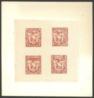 ECUADOR: Sc.55 + Other Values, 1896 MULTIPLE DIE PROOF With Values Of 1c., 10c., 20c. And 5S., Printed On Thin Paper On  - Equateur