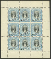 ECUADOR: Sc.150, 1901 50c. In Mini-sheet Of 9 SPECIMEN (with Punch Hole And Overprint), VF Quality! - Ecuador