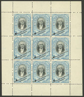 ECUADOR: Sc.150, 1901 50c. In Mini-sheet Of 9 SPECIMEN (with Punch Hole And Overprint), VF Quality! - Equateur