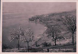 Lavaux Cully VD Au Printemps (20357) 10x15 - Cully