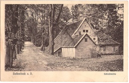 BALLENSTEDT Am Harz Schlossmühle Gelaufen 22.8.1915 Als Feldpost - Ballenstedt