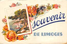 87-LIMOGES- SOUVENIR - Limoges