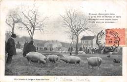 87-SAINT-SULPICE-LAURIERE- LA PLACE DU MARCHE - Bellac