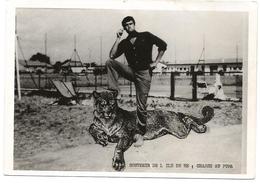 17 ILE DE RE  Photomontage Souvenir De L'île De Ré CHASSE AU PUMA - Non Classés