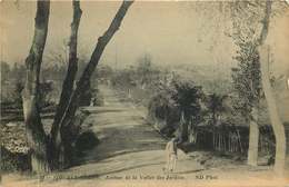 ALGERIE  SIDI BEL ABBES  Avenue De La Vallée Des Jardins - Sidi-bel-Abbès