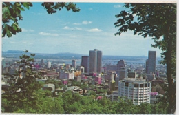 Montréal - Que.. - Canada - Modern Cards