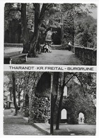 8223  THARANDT  (Kr. FREITAL)  -  BURGRUINE   1977 - Tharandt