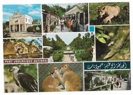 Carte Postale Zoo Alger - Sin Clasificación