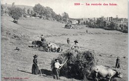 Agriculture - La Rentrée Des Foins - Landwirtschaftl. Anbau