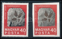 ** 1969 Földtani Intézet Vágott 40f A Fekete Szín Hiányával + Támpéldány (40.000) - Otros & Sin Clasificación