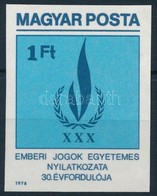 ** 1979 Emberi Jogok Egyetemes Nyilatkozata Vágott Bélyeg - Altri & Non Classificati