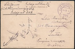 1917 Tábori Posta Képeslap 'K.u.K. Pionierbataillon No.5. Flussminenzug No.2.' + 'FP 299 B' - Other & Unclassified
