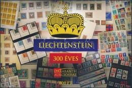 ** 2019 Liechtenstein 300 éves Emlékív - Andere & Zonder Classificatie