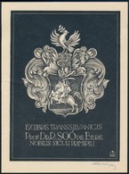 Radványi Román Károly (1900-1957): Prof. Dr. Berei Soó Rezső (1903-1980) Botanikus, Számára Készített Ex Libris. Fametsz - Other & Unclassified