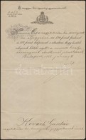 1888 A Nagykikindai Királyi Törvényszékre Szóló Aljegyzői Kinevezés, Fabinyi Teofil Igazságügy-miniszter Aláírásával - Ohne Zuordnung
