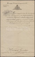 1888 A Nagykikindai Királyi Törvényszékre Szóló Aljegyzői Kinevezés, Fabinyi Teofil Igazságügy-miniszter Aláírásával - Unclassified