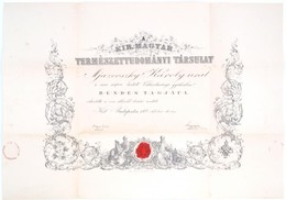 1889 A M. Kir Természettudományi Társulat Oklevele Mjazovszky Károly (1836-1909) Részére, Borítékkal 70x50 Cm - Non Classificati