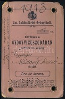 1913 Fényképes Szent Lukács Gyógyfürdő Bérletjegy Nádasy Dezső (1861 K.-1904) Részére - Zonder Classificatie