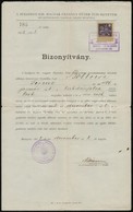 1922 Orvosdoktori Bizonyítvány - Ohne Zuordnung