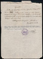 1948 Szőlősgyörök, Közjegyző által Hitelesített Igazolás Arról, Hogy Adott Személy Nem Volt Fasiszta Szervezet Tagja - Ohne Zuordnung
