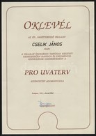 1993 Bp., Az Út- és Vasúttervező Vállalat által Adományozott Pro Urvaterv Oklevél - Ohne Zuordnung