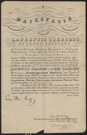 1835 Udvari Szerkeztetői Kinevezés Nemestacskándi Csergheő Lőrinc Részére Gróf Reviczky Ádám (1786-1862) Kancellár Saját - Non Classificati
