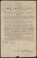 1835 Udvari Szerkeztetői Kinevezés Nemestacskándi Csergheő Lőrinc Részére Gróf Reviczky Ádám (1786-1862) Kancellár Saját - Non Classés