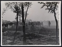 Dulovits Jenő (1903-1972): Hazafelé Pecséttel Jelzett Vintage Fotó 12x9 Cm - Other & Unclassified