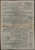 Cca 1920 Zubek Bertalan és Társa Budapest IV. Puskaműves, Fegyver- és Sportáruháza árjegyzék - Reclame