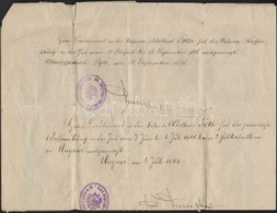 1896 Tartalékos Hadnagyi Kinevezés, Rajta Későbbi Hivatalos Feljegyzésekkel - Altri & Non Classificati