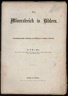 1878: Johann Gottlob Von Kurr. Das Mineralreich In Bildern - Naturhistorisch-technische Beschreibung Und Abbildung Der W - Non Classificati