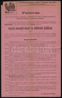 1905 Kecskemét Tenyész Baromfi Vásár és Méhészeti Kiállítás Reklám Nyomtatvány - Ohne Zuordnung