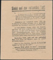 1945 Hitler és Himmler Ellenes Német Nyelvű Röplap A Német Néphez - Ohne Zuordnung