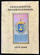 Tanulmányok Mezőkövesdről. Szerk.: Kápolnai István, Szlovák Sándor. Mezőkövesd, 1998, Mezőkövesd Város Önkormányzata,(Pe - Non Classificati