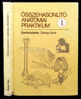 Összehasonlító Anatómiai Praktikum. I. Kötet. Szerk.: Dr. Zboray Géza. Bp.,1989, Tankönyvkiadó. Kiadói Kartonált Papírkö - Unclassified