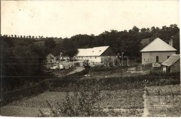 T2 Becske, Tanya Nem Messze A Kastélytól, Szarvasmarhák + 1931 Becske Postai ügynökségi Pecsét - Zonder Classificatie