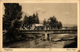 ** T2/T3 Nagybánya, Baia Mare; Zazar Hídja / Sasar River Bridge  (EK) - Zonder Classificatie