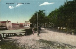 ** T2 Nagyvárad, Oradea; Körös Parti Korzó, Sétány, Hátul A Zsinagóga / Cris Riverside Promenade, Synagogue In The Backg - Zonder Classificatie