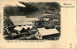 T2/T3 1901 Romoly, Romuli (Máramaros); Hoffmann-féle Turbina és Gőzfűrész Telep. Kaufmann Ábrahám Kiadása / Sawmill (EK) - Zonder Classificatie