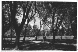 ** T1/T2 Székelyudvarhely, Odorheiu Secuiesc; Sétatér / Promenade, Park - Non Classificati