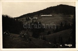 T2 1944 Tihuca, Tihuta (Báránykő, Piatra Fantanel); - Ohne Zuordnung