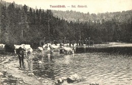 T2/T3 1914 Tusnádfürdő, Baile Tusnad; Szent Anna Tó, Szarvasmarhák Itatása. Szvoboda József Kiadása / Lake, Cattle Drink - Ohne Zuordnung