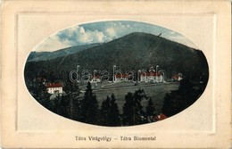 T2 1912 Tátra, Vysoké Tatry; Virágvölgy, Blumental, Kvetnica; Strompf S.A. - Non Classificati