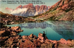 T2/T3 Tátra, Vysoké Tatry; Menguszfalvi Völgy,Kis-Békás Tó, Bástya. Feitzinger Ede Ph. No. 273. / Mengusovská Dolina, Ba - Non Classificati