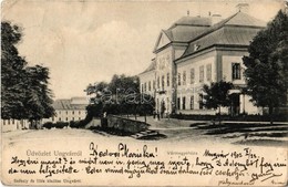 * T2/T3 1902 Ungvár, Uzshorod, Uzhorod; Vármegyeháza. Székely és Illés Kiadása / County Hall (EK) - Non Classés