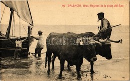 ** T2 Valencia, Grao. Regreso De La Pesca Del Bou / Fishermen Returning From The Fishing, Oxen, Folklore - Non Classificati