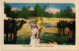 ** T1/T2 Syrie, Chameaux A L'Abreuvoir / Syrian Folklore, Naked Girl With Camles - Ohne Zuordnung