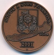 Veres Gábor (1955-) 2001.'Siófok A Nyár Fővárosa' Br Emlékérem (42mm) T:1- - Sin Clasificación